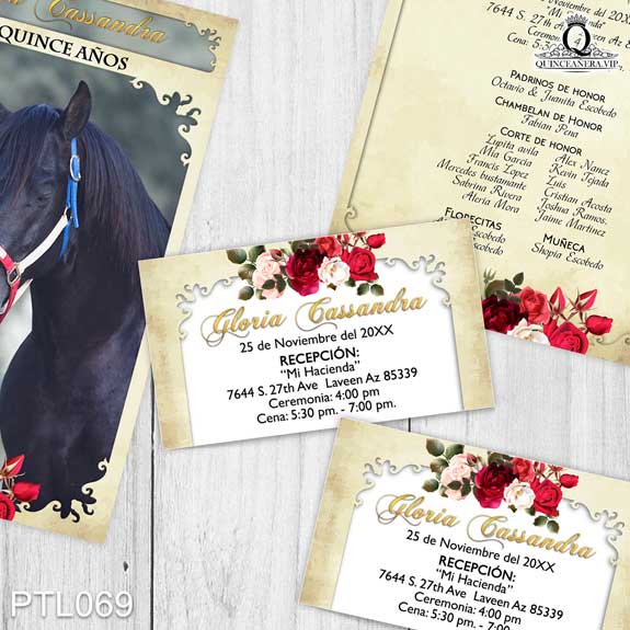 Invitaciones de Quinceañera de Vaqueras Rosas PTL069 - PTL069